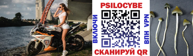 Галлюциногенные грибы Psilocybe наркотики darknet клад Питкяранта